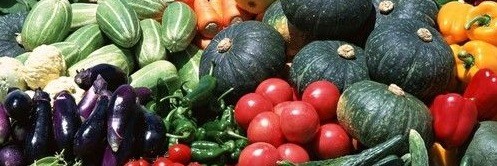 Семена овощных культур